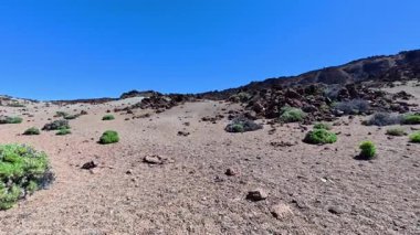 Uçsuz bucaksız bir çöl manzarasının büyüleyici güzelliğini keşfedin. İçinde eşsiz kayalar ve canlı yeşillikler yeşersin.