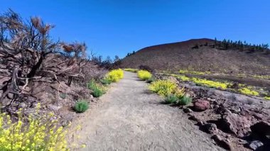 Unutulmaz bir maceraya atlayın. Yaban çiçekleri ve volkanik manzaralarla dolu güzel bir patikayı keşfedin.