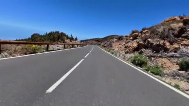 Güzel, dolambaçlı bir yol yılanı kayalık arazide ve yemyeşil çam ağaçlarında, hepsi berrak mavi bir gökyüzünün altında