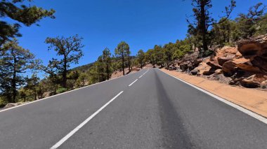 Ağaçların ve kayaların arasına kurulmuş bu çarpıcı otoyol doğa severler ve unutulmaz yolculuklar için mükemmeldir.