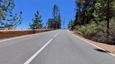Görkemli, dolambaçlı bir yol çarpıcı, berrak mavi gökyüzünün altındaki gür, canlı çam ağaçlarının arasından yükselir.