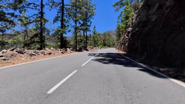 Virajlı çam ormanlarında dolambaçlı bir yol, doğada huzur ve macera sergiliyor.