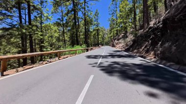 Canlı bir ormanda nefes kesici bir viraj yolu. Açık hava maceraları ve bisiklet gezileri için mükemmel.