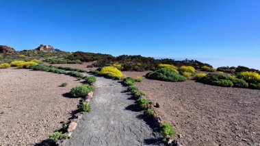 Açık mavi gökyüzünün altında canlı çiçekler tarafından kucaklanan, hoş bir maceraya atılın.