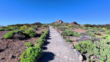 Parlak mavi bir gökyüzünün altında yemyeşil bir alanla çevrili hayret verici güzellikte bir yol keşfedin ve keşfedin.