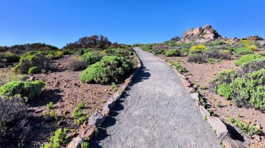 Huzurlu bir patika, yemyeşil ve büyüleyici araziyle süslenmiş canlı bir arazide güzelce kurulmuştur.