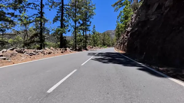 Virajlı çam ormanlarında dolambaçlı bir yol, doğada huzur ve macera sergiliyor.