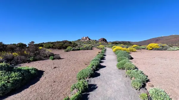 Canlı çiçeklerle bezenmiş nefes kesen güzel bir patika, insanı hayrete düşüren kurak bir manzaraya götürür.