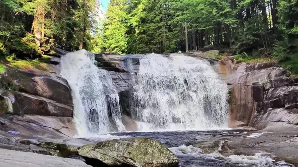 Nefes kesici bir şelale verimli, canlı yeşil ağaçların arasından zarif bir şekilde çağlayarak huzurlu bir doğal ortam yaratır.