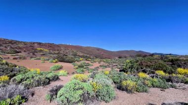 Berrak mavi gökyüzünün altında, doğal güzellik ve sükuneti sergileyen, göz kamaştırıcı bir manzara.