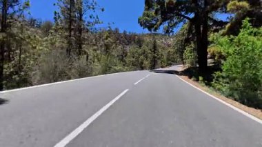 Görkemli, canlı yeşillik ve nefes kesici mavi gökyüzü ile çevrili pitoresk bir viraj yolu.