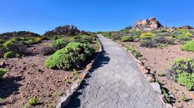 Huzurlu bir patika, yemyeşil ve büyüleyici araziyle süslenmiş canlı bir arazide güzelce kurulmuştur.
