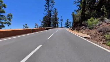 Görkemli, dolambaçlı bir yol çarpıcı, berrak mavi gökyüzünün altındaki gür, canlı çam ağaçlarının arasından yükselir.