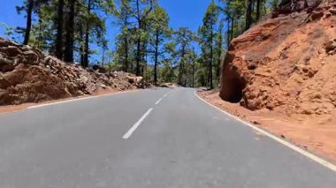 Çekici ve pitoresk bir dağ yolu zarif bir şekilde yüksek çam ağaçları ve engebeli kayalık arazide esiyor.