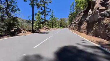 Virajlı çam ormanlarında dolambaçlı bir yol, doğada huzur ve macera sergiliyor.