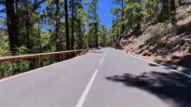 Canlı bir ormanda nefes kesici bir viraj yolu. Açık hava maceraları ve bisiklet gezileri için mükemmel.