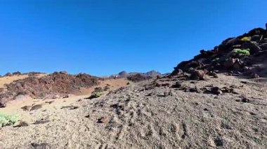 Kayalık arazi ve canlı bitki örtüsünün nefes kesici çöl manzarasını keşfetmek için bir maceraya atılın.