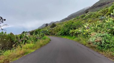Yeşillik ve görkemli dramatik tepelerle çevrili güzel ve dolambaçlı bir yolu keşfet.