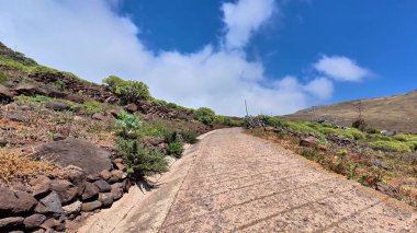 Berrak mavi gökyüzünün altında canlı ve yemyeşil bitki örtüsüyle çevrili şaşırtıcı derecede güzel, dolambaçlı bir yol.