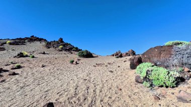 Açık mavi gökyüzünün altında kayaların ve canlı bitkilerin bulunduğu nefes kesici bir çöl manzarası..