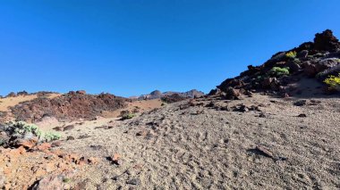 Kayalık arazi ve canlı bitki örtüsünün nefes kesici çöl manzarasını keşfetmek için bir maceraya atılın.