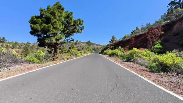Göz kamaştırıcı dağların arasında, güneşli mavi bir gökyüzünün altında canlı yeşilliklerle çevrili güzel bir yol var.