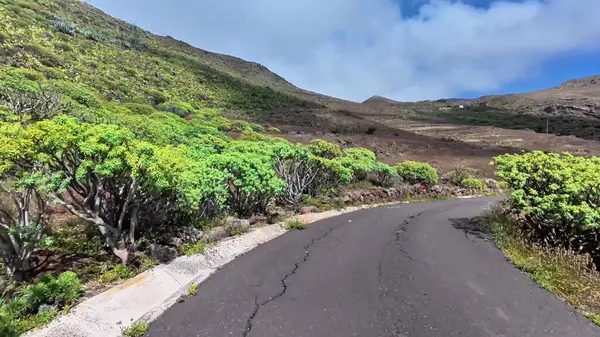 Bereketli bitki örtüsü ve çarpıcı dağ manzarasıyla çevrili dolambaçlı bir yolda maceraya atılmak.