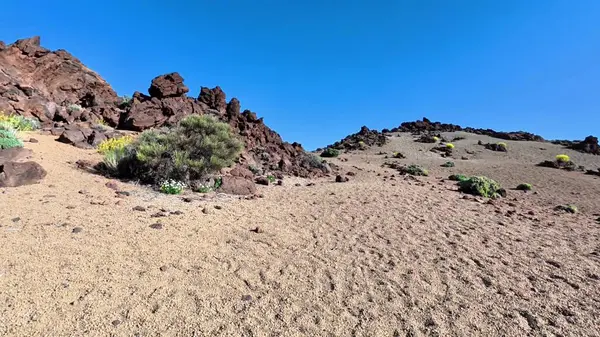 Göz kamaştırıcı ve güzel bir çöl manzarası açık mavi gökyüzünün altında kayalık, canlı bir bitki örtüsü sergiliyor.
