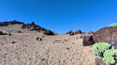 Açık mavi gökyüzünün altında kayaların ve canlı bitkilerin bulunduğu nefes kesici bir çöl manzarası..