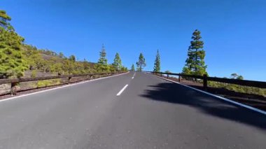 Parlak mavi bir gökyüzünün altındaki gür çam ağaçlarıyla çevrili dolambaçlı bir dağ yolunun pitoresk bir manzarası..