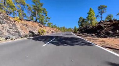 Göz kamaştırıcı derecede güzel bir dağ yolu. Bereketli çam ağaçlarıyla çevrili, masmavi bir gökyüzünün altında.