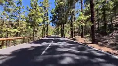 Uzun, görkemli ağaçlarla dolu, manzaralı sürüş ve açık hava maceraları için ideal bir yol.