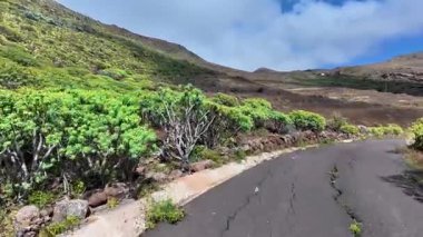 Bereketli bitki örtüsü ve çarpıcı dağ manzarasıyla çevrili dolambaçlı bir yolda maceraya atılmak.