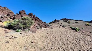 Göz kamaştırıcı ve güzel bir çöl manzarası açık mavi gökyüzünün altında kayalık, canlı bir bitki örtüsü sergiliyor.