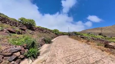 Berrak mavi gökyüzünün altında canlı ve yemyeşil bitki örtüsüyle çevrili şaşırtıcı derecede güzel, dolambaçlı bir yol.