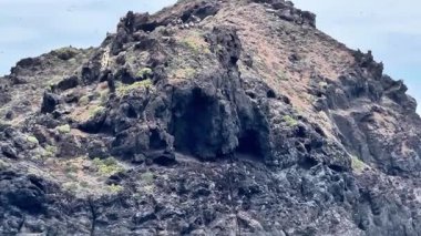 Nefes kesen kayalık bir ada arkaplanı güzel bir şekilde doğal dokusunu ve çarpıcı sahil manzarasını sergiliyor.