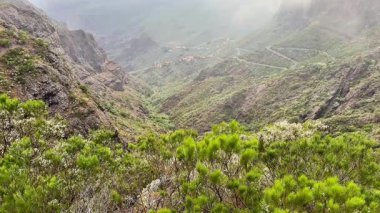 Hava manzarası doğal güzellikleri yansıtan yeşil ve sisli tepelerle çevrili sakin bir dağ vadisini gösteriyor.