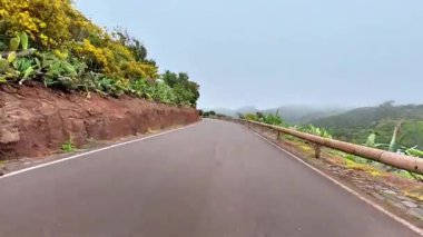 Güzel, dolambaçlı bir yol, yemyeşil ve sis ile çevrili, doğa severler ve hayranlar için mükemmel.