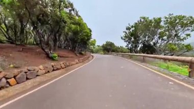 Etrafı canlı yeşilliklerle ve doğanın dingin güzelliğiyle çevrili güzel, dolambaçlı bir yolu tecrübe edin.