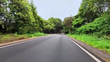 Canlı yeşillik ve doğanın sükuneti ile çevrili sakin bir yolda yürümenin ya da bisikletin tadını çıkar.