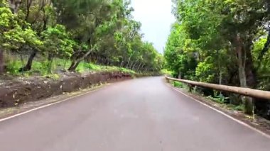 Nefes kesecek kadar güzel, dolambaçlı bir yol canlı yeşilliklerle kaplanır.