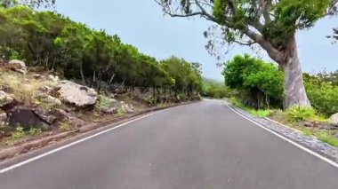 Güzel yeşilliklerle, doğa severler ve macera arayanlar için mükemmel bir yol deneyimi..