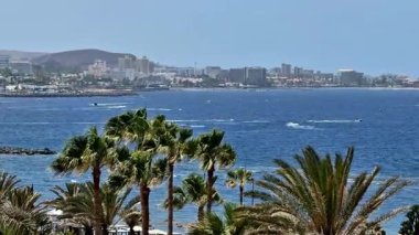 Güneşin altında canlı mavi bir okyanusun yanında yüksek palmiye ağaçları sergilenen şaşırtıcı derecede güzel bir sahil manzarası.