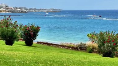 Canlı çiçekler, yemyeşil alanlar ve sakin mavi suların sergilendiği pitoresk bir sahil manzarası.