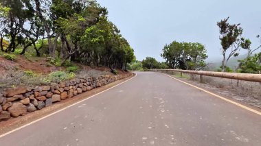 Etrafı canlı yeşilliklerle ve doğanın dingin güzelliğiyle çevrili güzel, dolambaçlı bir yolu tecrübe edin.