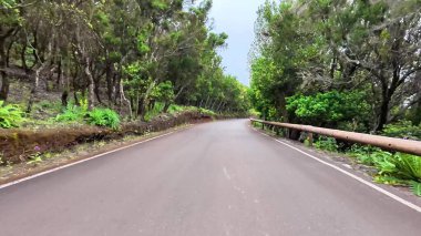 Nefes kesecek kadar güzel, dolambaçlı bir yol canlı yeşilliklerle kaplanır.
