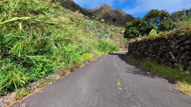 Güzel yeşillikler ve kayalık araziler arasında manzaralı bir yolu keşfetmek için heyecanlı bir yolculuğa çıkın.