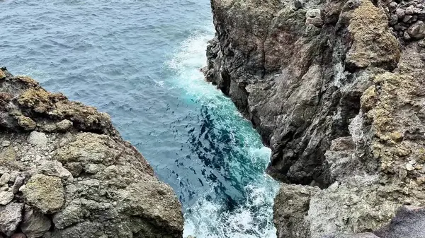 Okyanus dalgalarının engebeli ve dramatik kaya oluşumları arasında çarpışıp durduğu nefes kesici ve çarpıcı bir manzara.