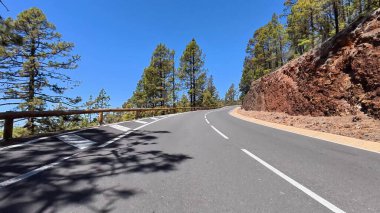 Büyüleyici bir manzara, açık mavi gökyüzünün altında verimli çam ağaçlarıyla çevrili dolambaçlı bir yolu gösteriyor.