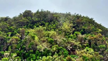 Sise bürünmüş dingin yeşil bir dağ manzarası güzelliği ve sükuneti gözler önüne seriyor.